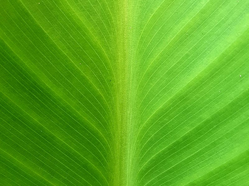 Salon system integration